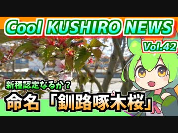 【命名：釧路啄木桜】Cool　KUSHIRO　NEWS　Vo.42【釧路ニュースVOICEVOXずんだもん解説】