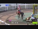 【ウマ娘風】5月15日4R 新種牡馬限定・JRA認定競走 フレッシュチャレンジ競走(門別・2024)