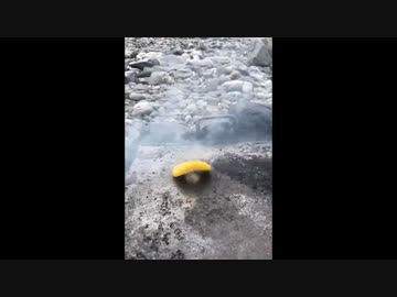 パイン