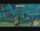 ゼルダの伝説　ティアーズ オブ ザ キングダム　実況プレイPart12