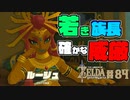 【ゼルダの伝説 BotW】#84　若き族長ルージュ　この娘！できる！！