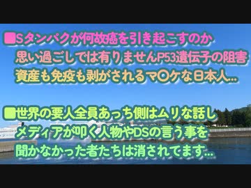 Sタンパクでなぜガンが増えるのか...悪と悪の戦いだが全員あっち側ではない...