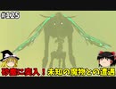 【ゆっくり実況】初めてのティアーズオブザキングダム！ par125 【ティアーズオブザキングダム】