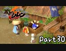 目指すは隠しダンジョン全制覇⁉風来のシレン６を実況プレイPart30
