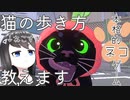 【実況プレイ】猫の歩き方教えます。散歩１日目