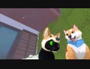 黒ねこになる【Little Kitty Big City】Part02 ※ネタバレあり