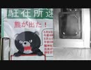 【獣】ビックリしました…【野良猫】