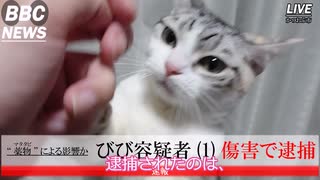 【マンチカンの子猫】びび容疑者逮捕｜びびちゃんねる