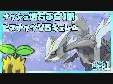 【実況】ヒマナッツがひん死になったら現実で向日葵を育てる縛り（BW版・Part㉛）