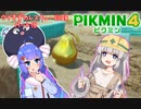 ウナきずのレスキュー記録　パート18