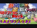 【Part14】ゲームボーイソフトなしで誰でもできる神モード「チャレンジカップ」をやっていく攻撃【ポケモンスタジアム金銀】
