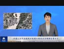 中国人の不法越境が米国の国家安全保障を脅かす