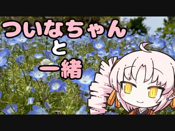 ついなちゃんと一緒【世羅】