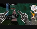 謎の集団に中指を立てられる神ゲーをプレイするあかりちゃん【カルトに厳しいギャル-CULT VS GAL-】