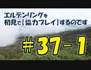 #37-1 エルデンリングを 初見で【協力プレイ】するのです
