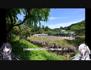 バイクで撮影に行きたい＃9　また藤の花を探しに　白毫寺編