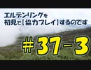#37-3 エルデンリングを 初見で【協力プレイ】するのです