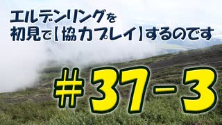 #37-3 エルデンリングを 初見で【協力プレイ】するのです