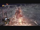 【ダークソウル3】VS王たちの化身【30-2回目】