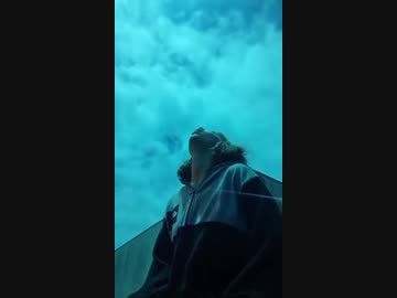 ホモと見る配信中に隕石に遭遇した女