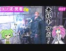 【ドラゴンズドグマ2】四国めたんのマジシャン街道 #17【VOICEVOX実況】