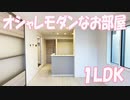モダンなおしゃれ部屋１LDK D-ROOM大元駅前 アパート岡山市北区大元駅前