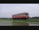 ひたちなか海浜鉄道 キハ205貸切運転(那珂湊駅入換、増結・解結、フォトラン)