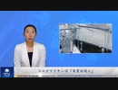 コロナワクチンは 「実質的殺人」