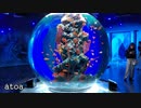神戸の綺麗な水族館アトア「atoa」　カピバラのポロポロ