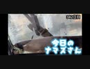 赤ちゃんなまず飼育日記 342日目