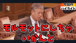 「国民を金に換えるな！」原口一博が「日本国民をワクチンの実験台にするな！」と訴える　国会の承認なしでWHOに強制力を与える政府を糾弾　　#ネトウヨガー馬鹿左翼と同類の反ワクガーワク信には難しい話です