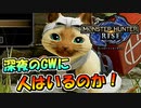 【単発実況】ゴールデンウィークだが深夜に人はいるのか！？【MHRise/モンハンライズ】