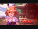 Plan 7