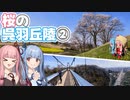 【GRヤリス車載】琴葉姉妹のノープラン・リエゾン＃96（桜の呉羽丘陵②）