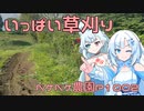 第78位：2024年5月21日　農作業日誌P1002　梅雨が迫って来るから追い付かれる前に草刈り終わらせたい！