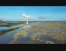 woman standing in shallow water