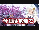 ぶらっと紲星紀行～今日は京都の旅～