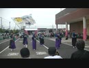 てんしゃばフェスタ踊り子隊　HEY∞WA！　ピオニウォークよさこい2024