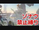 ゾナウ禁止縛りpart28【ティアキン/制限プレイ/ゼルダの伝説ティアーズオブザキングダム】