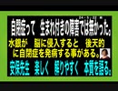 24・5・22朝　狂った世界は　もうすぐ終わり。