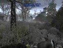 【CoD4】All Ghillied Upを再び地味にプレイ・前編【PC】