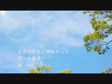 五月の芝生に寝転がって / est feat. GUMI