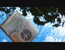 【弾いてみた】カリンバで「瞳に映るもの」