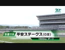 【ウマ娘風】第31回平安ステークスGⅢ(2024)【ミトノオー】