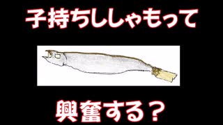 子持ちシシャモって興奮する？