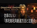効率のいい「黒呪島呪具厳選方法と注意点」/Dragon's Dogma: Dark Arisen/ドラゴンズドグマダークアリズン