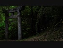 Himebotaru Fireflies of Kurate Town