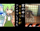 回転焼きの名前は複数存在する【VOICEVOX劇場】
