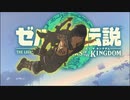 空を独り占め『ゼルダの伝説 ティアーズ オブ ザ キングダム』#13