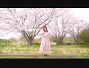 【みたたん】花降らし　踊ってみた【桜】